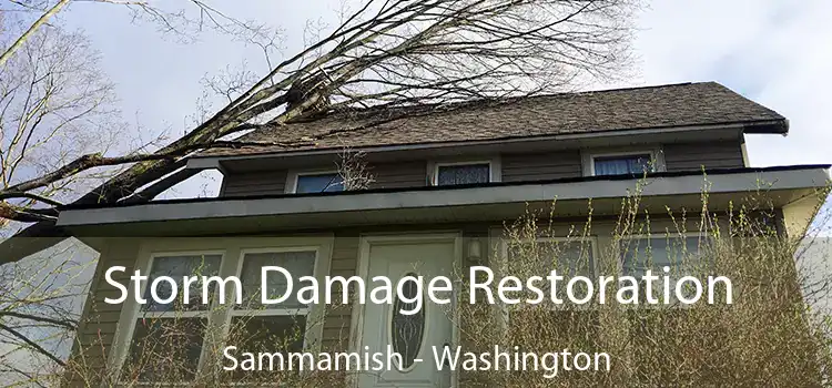 Storm Damage Restoration Sammamish - Washington