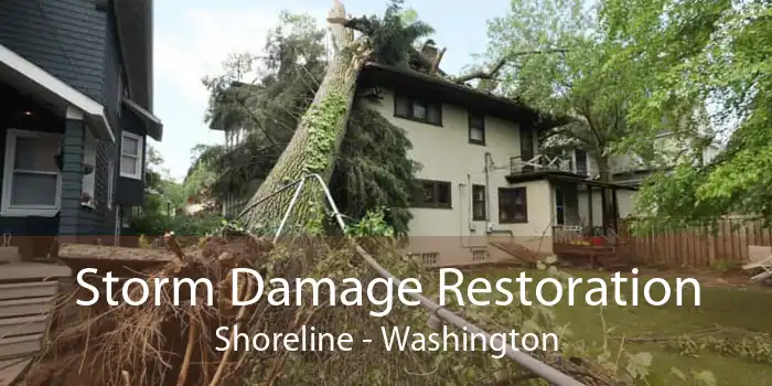 Storm Damage Restoration Shoreline - Washington