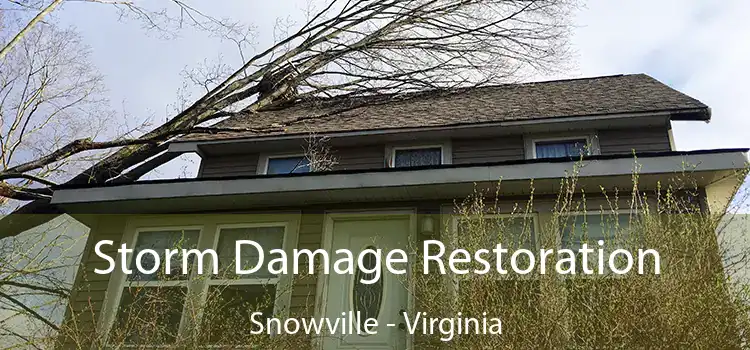 Storm Damage Restoration Snowville - Virginia