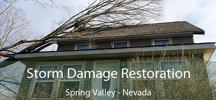 Storm Damage Restoration Spring Valley - Nevada