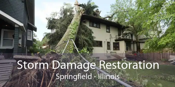 Storm Damage Restoration Springfield - Illinois