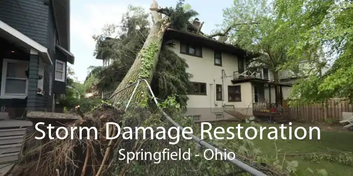 Storm Damage Restoration Springfield - Ohio