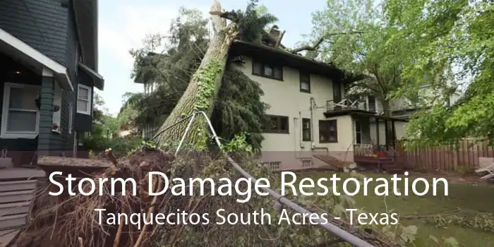 Storm Damage Restoration Tanquecitos South Acres - Texas
