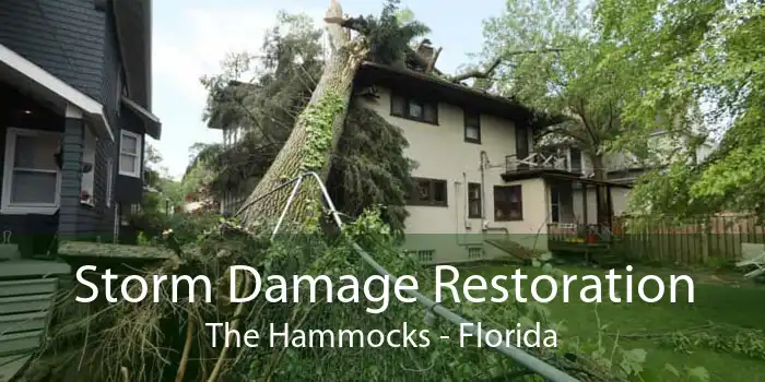 Storm Damage Restoration The Hammocks - Florida