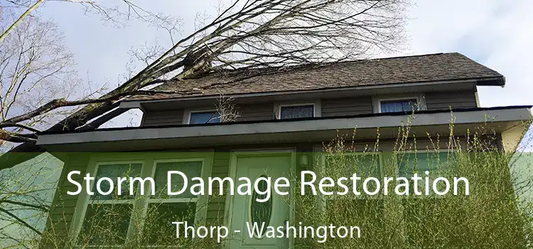 Storm Damage Restoration Thorp - Washington