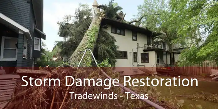 Storm Damage Restoration Tradewinds - Texas