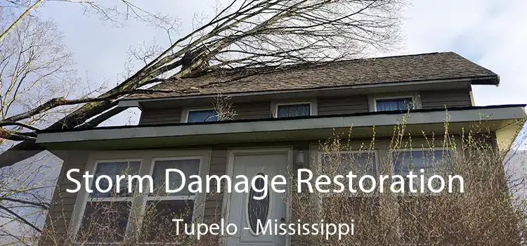 Storm Damage Restoration Tupelo - Mississippi