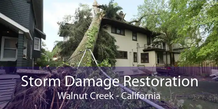 Storm Damage Restoration Walnut Creek - California