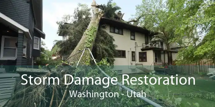 Storm Damage Restoration Washington - Utah