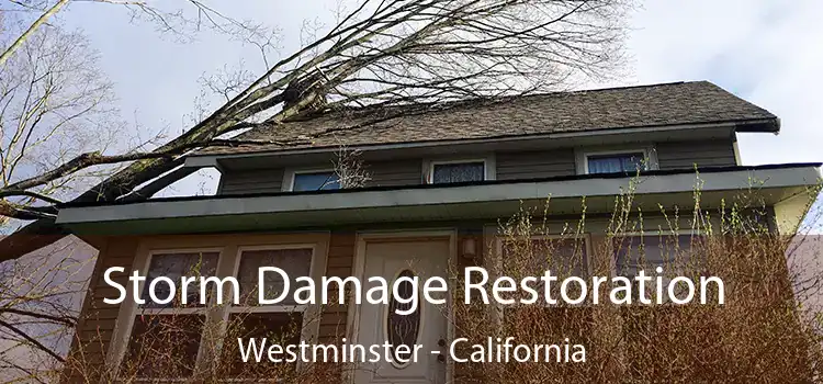 Storm Damage Restoration Westminster - California