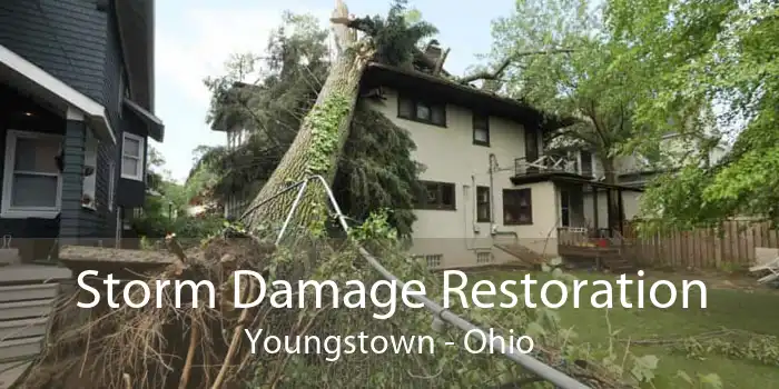 Storm Damage Restoration Youngstown - Ohio