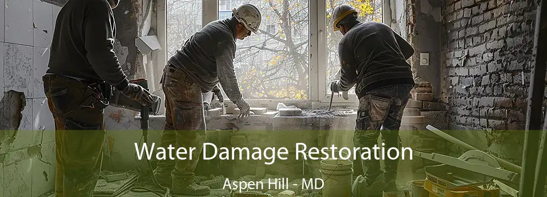 Water Damage Restoration Aspen Hill - MD