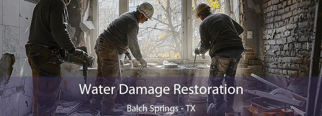 Water Damage Restoration Balch Springs - TX