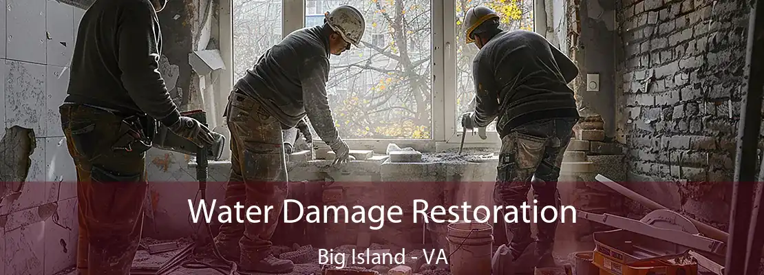 Water Damage Restoration Big Island - VA