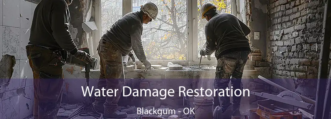 Water Damage Restoration Blackgum - OK