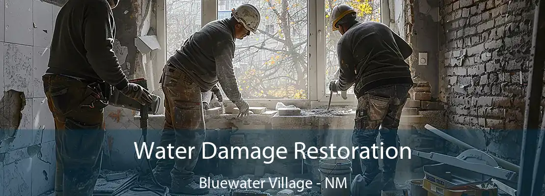 Water Damage Restoration Bluewater Village - NM