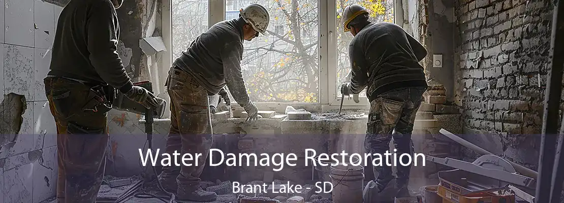 Water Damage Restoration Brant Lake - SD