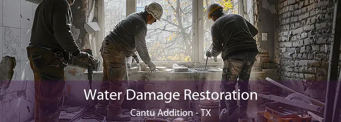 Water Damage Restoration Cantu Addition - TX