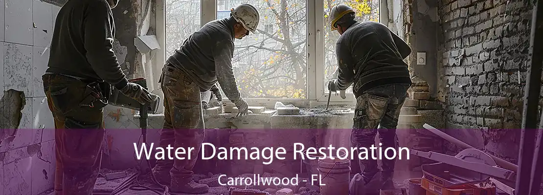 Water Damage Restoration Carrollwood - FL