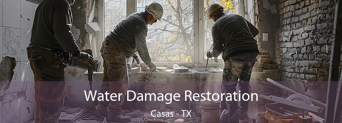 Water Damage Restoration Casas - TX