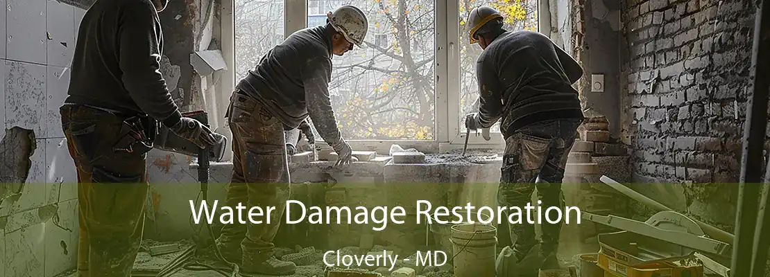 Water Damage Restoration Cloverly - MD
