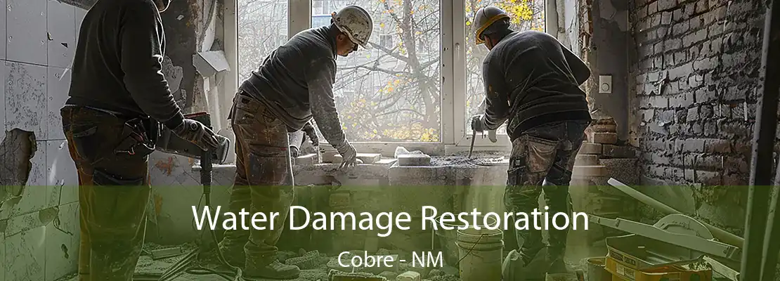 Water Damage Restoration Cobre - NM