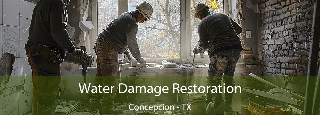 Water Damage Restoration Concepcion - TX