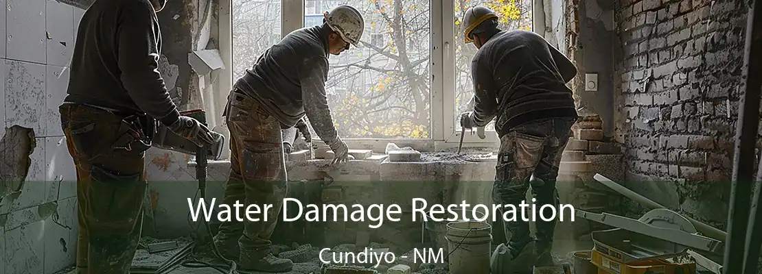 Water Damage Restoration Cundiyo - NM