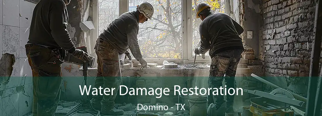 Water Damage Restoration Domino - TX