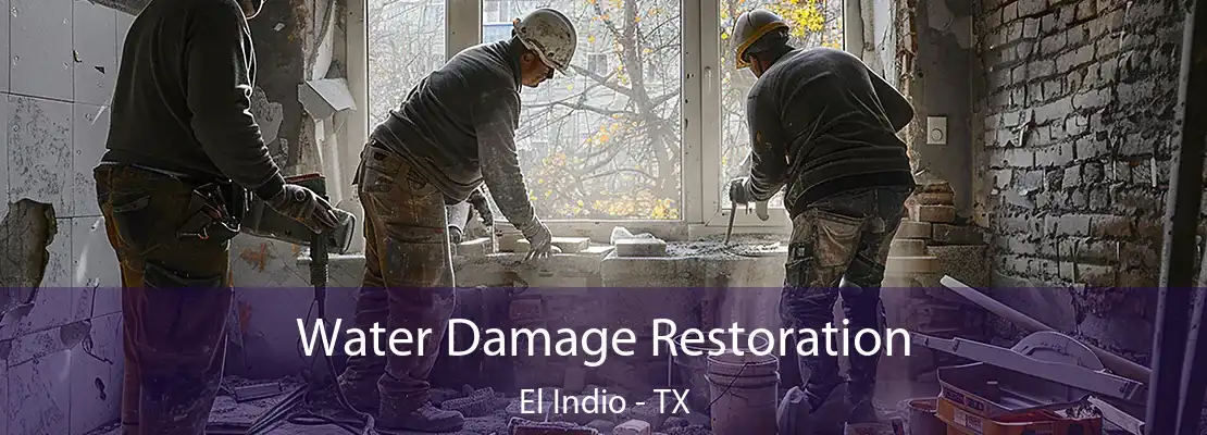 Water Damage Restoration El Indio - TX