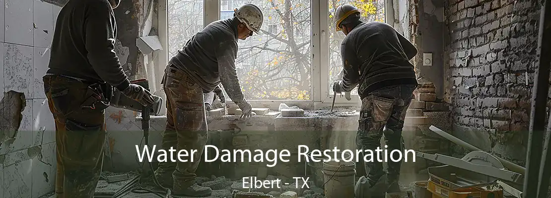 Water Damage Restoration Elbert - TX