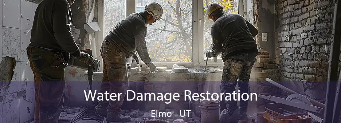 Water Damage Restoration Elmo - UT