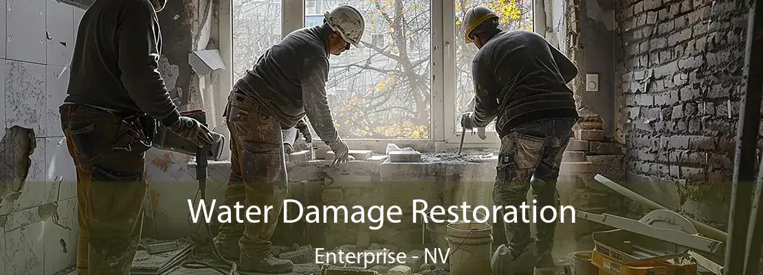 Water Damage Restoration Enterprise - NV