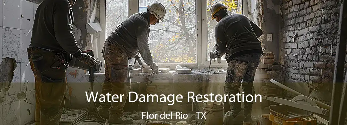 Water Damage Restoration Flor del Rio - TX