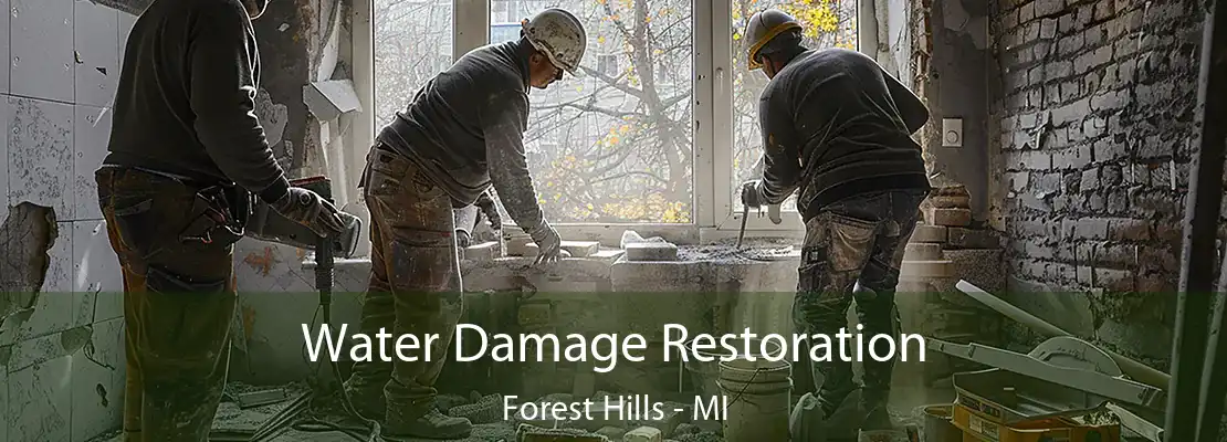 Water Damage Restoration Forest Hills - MI