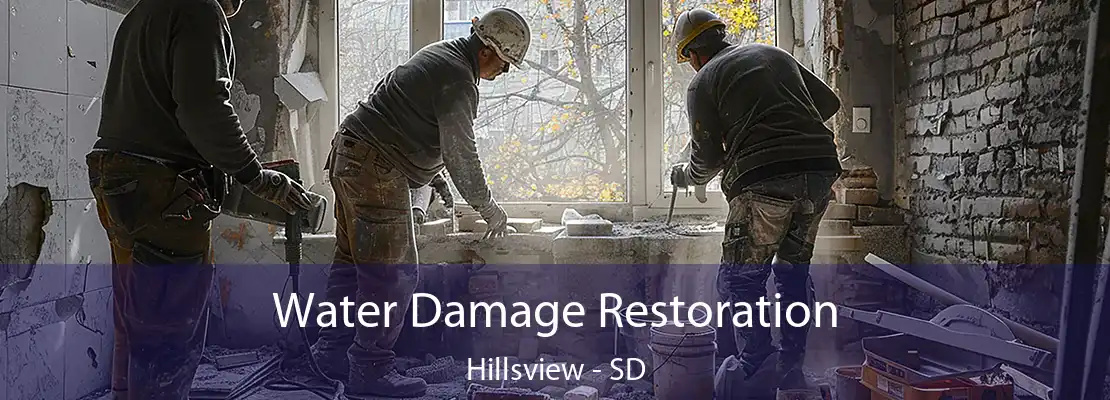 Water Damage Restoration Hillsview - SD