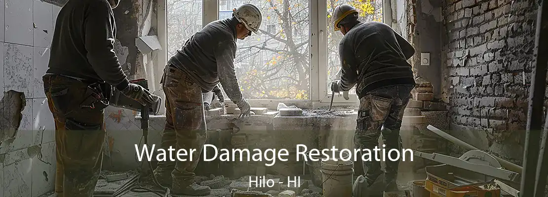Water Damage Restoration Hilo - HI