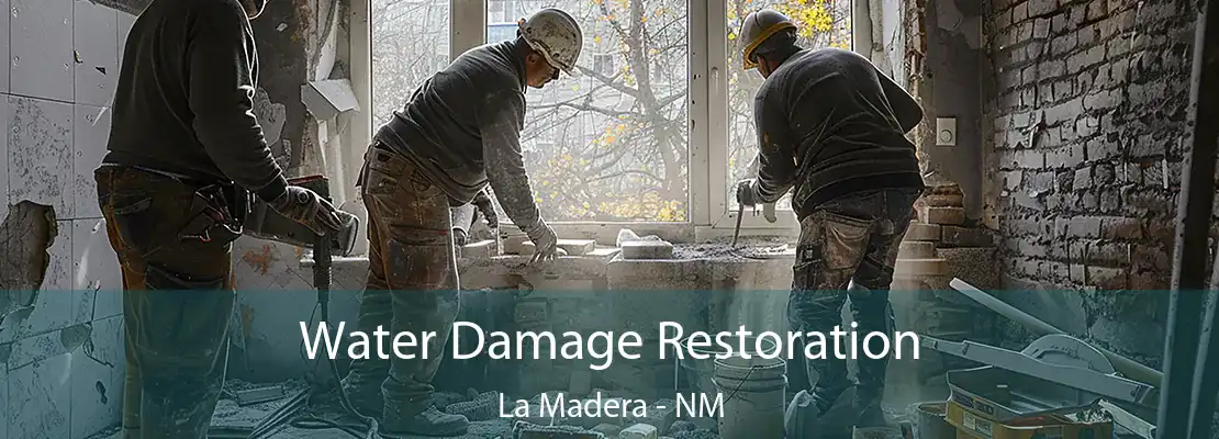 Water Damage Restoration La Madera - NM