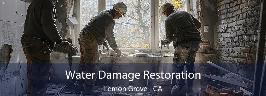 Water Damage Restoration Lemon Grove - CA