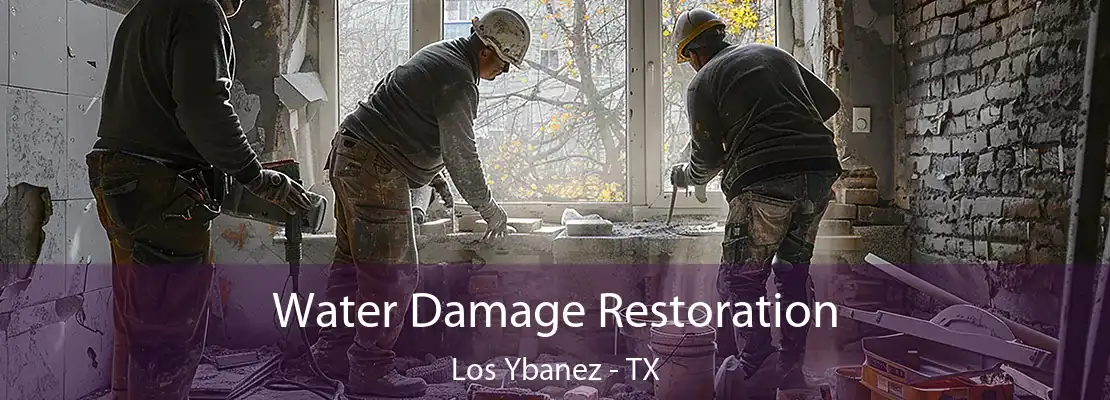 Water Damage Restoration Los Ybanez - TX