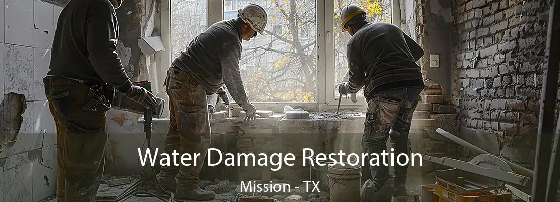 Water Damage Restoration Mission - TX