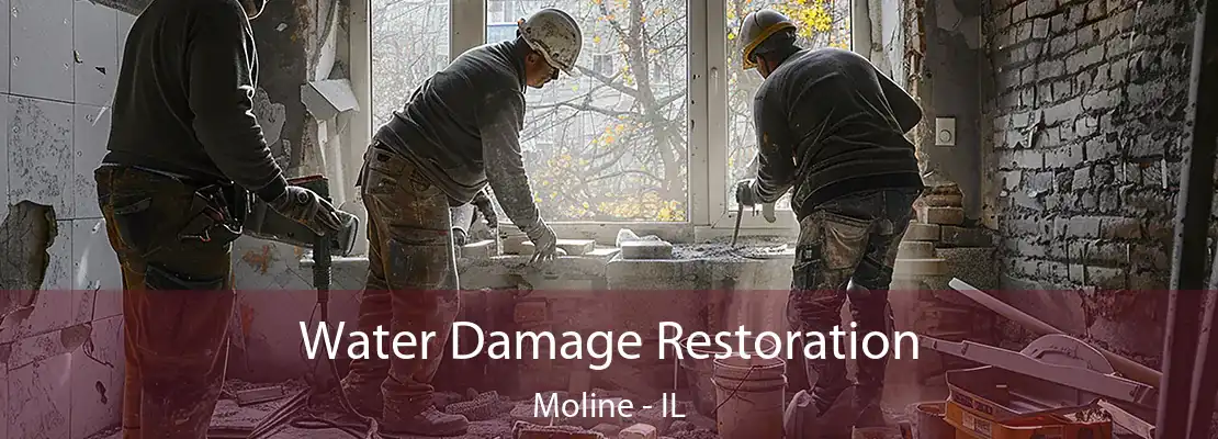 Water Damage Restoration Moline - IL