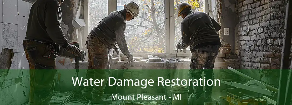 Water Damage Restoration Mount Pleasant - MI