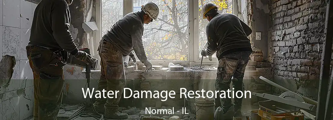 Water Damage Restoration Normal - IL