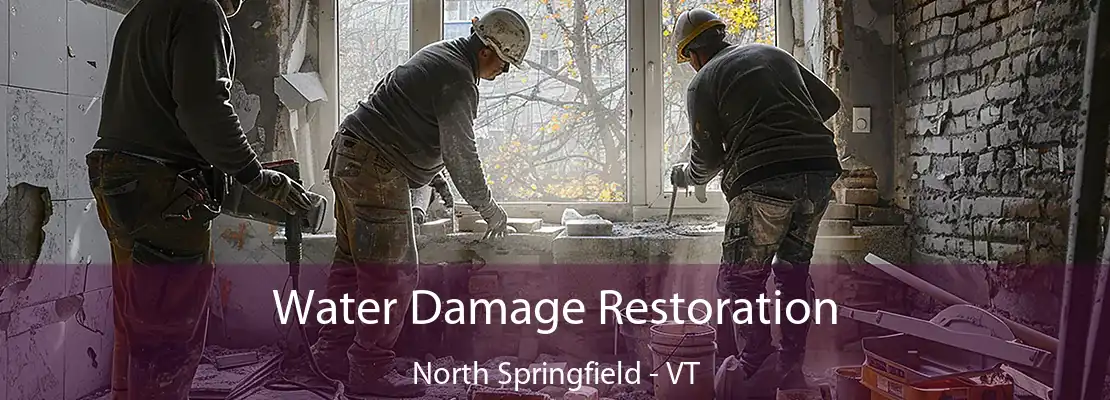 Water Damage Restoration North Springfield - VT