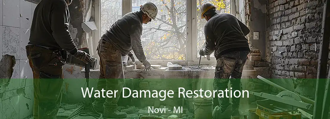 Water Damage Restoration Novi - MI
