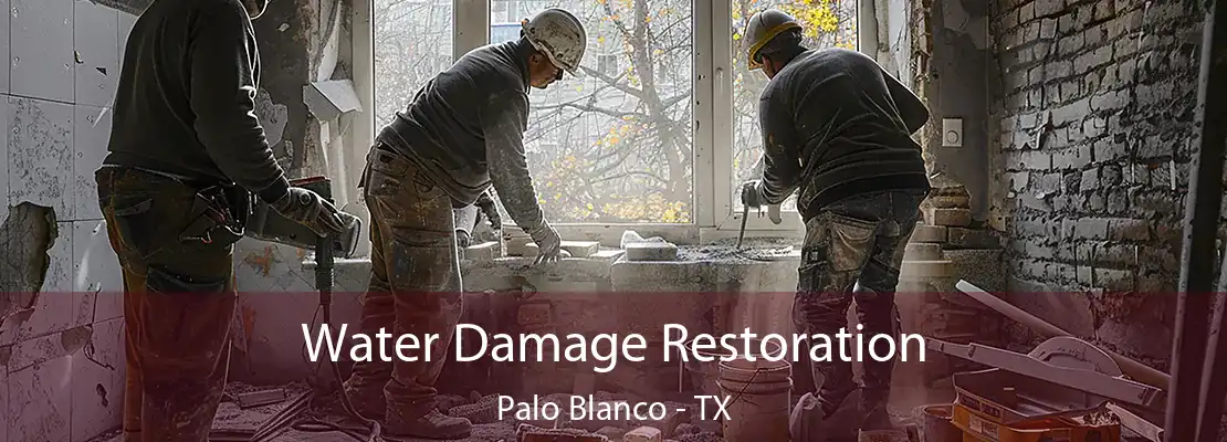 Water Damage Restoration Palo Blanco - TX