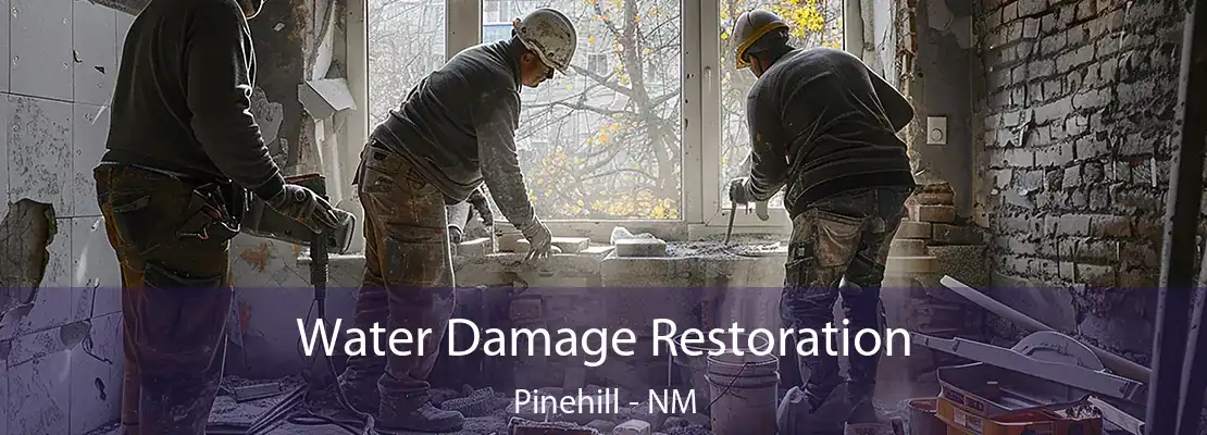 Water Damage Restoration Pinehill - NM