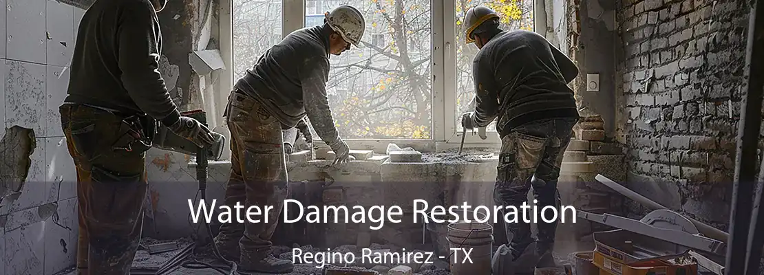 Water Damage Restoration Regino Ramirez - TX