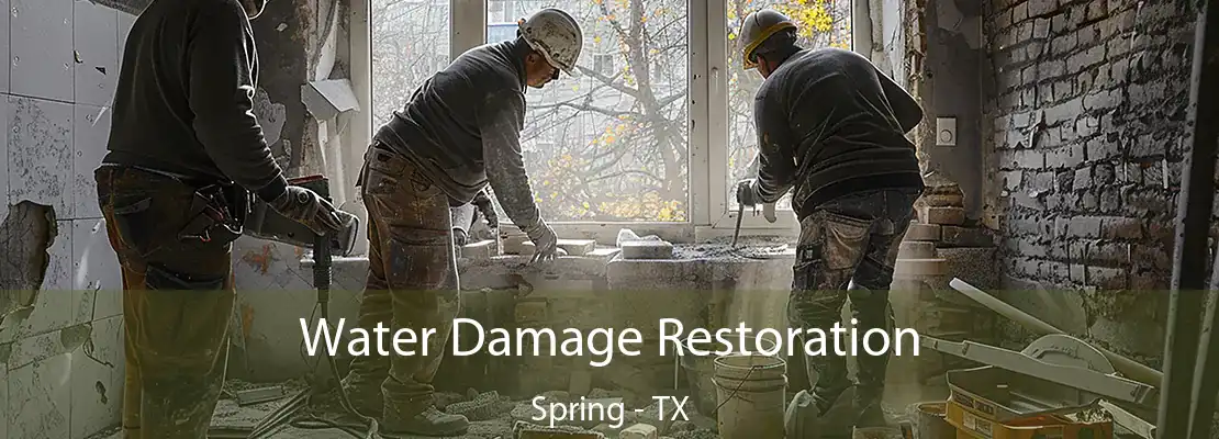 Water Damage Restoration Spring - TX